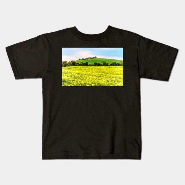 Gold and Green Landscape Kids T-Shirt by IanWL